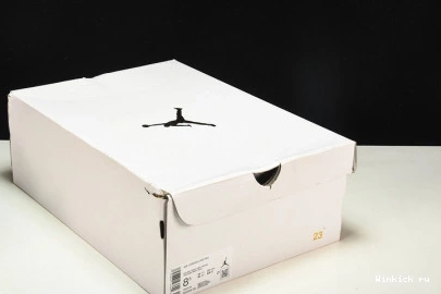 Blank Jordan 4 Canvas Retro 1001